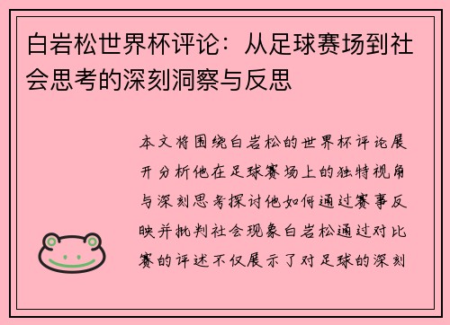 白岩松世界杯评论：从足球赛场到社会思考的深刻洞察与反思
